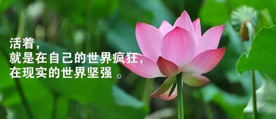 c45a9cf8b7b0688d56ddaa7a95928065__url=http%3A%2F%2Fdingyue.ws.126.net%2FkUpCnEXFhmkAUlhxgGzhxM0lP9cHp1kZodRaxZPIb39WB1554464191879.jpeg&thumbnail=750x2147483647&quality=85&type=jpg.jpg