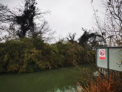《观曾经承包多年的杨树塘今日之荒貌感怀》的作者​余献增是【大众原创诗词曲网刊】签约作家