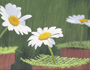 《夏日喜雨》的作者张德胜​是【大众原创诗词曲网刊】签约作家