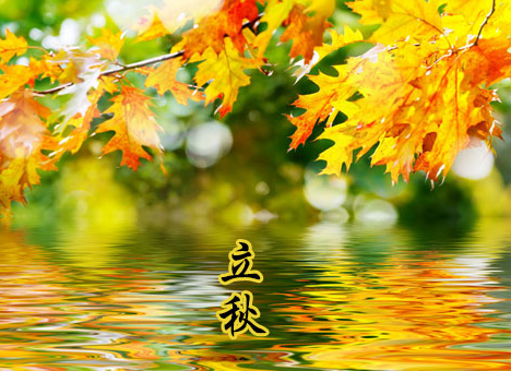 a42b5b132f78b5de12433342b77c45fb_4-1ZP51S042Y5.jpg