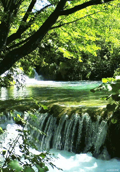 5259a47f073e09da3d1d72c75e2c2c6e_13b4bc58028f45478eed406560c3d555.gif