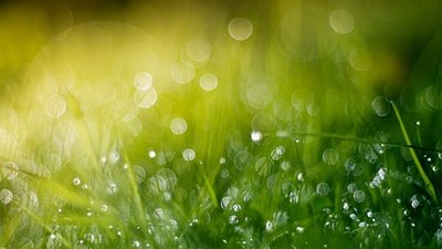 《夏雨》的作者红月​​是【大众原创诗词曲网刊】签约作家