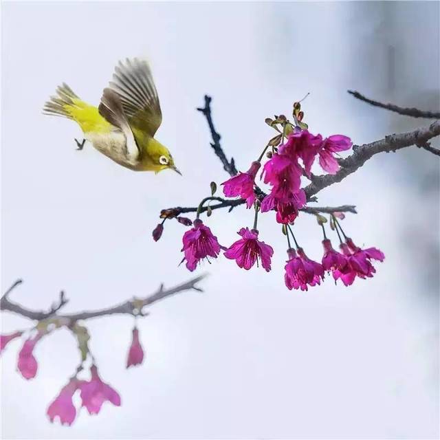 e50c440978102c6381b7eca4dd91e521_0d08280d1457414497c409d185f68e28_th.jpeg