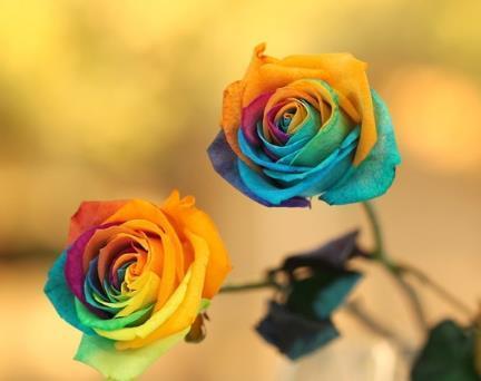6846a83e8718bf8c16a9fc85acf71cf9_u=1713980944,3938067422&fm=173&app=25&f=JPEG_w=432&h=342&s=338D66A6024167474887AF6E0300707B.jpg