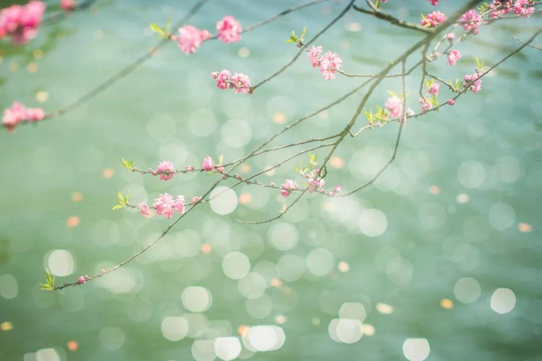 ce9c12aa599800bb0215b88f28266f09_1523891008585_896_1080x720.jpg