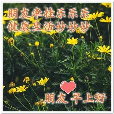 《真爱最美丽的感情》的作者奇石是【大众原创诗词曲网刊】签约作家