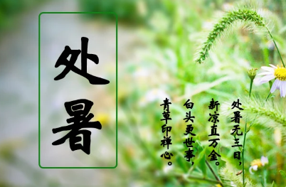 《处暑》的作者杨正强​是【大众原创诗词曲网刊】签约作家