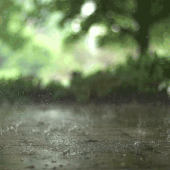 1a1d83259e5f11b2ae7192286c4bde50_f2cebeb0f62349c98017bc899608aacb.gif