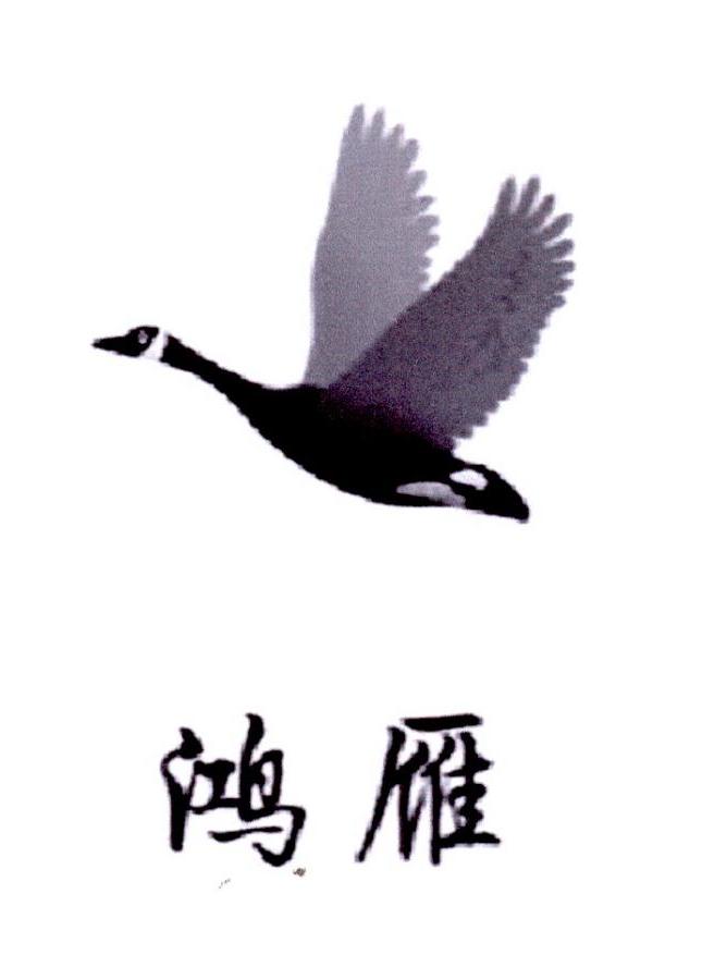 3153778fa5edc76a816aff1917293980_d8accd687f20d41410f8f28f521a8ff2.jpg