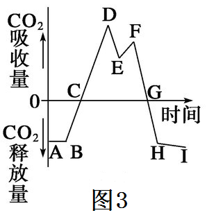 【热文头条】：“光合作用”