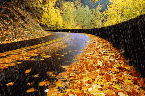 39e0d1148ac1a39cc0eb6661b0084778_7f683e6861d3477f9c8760350c8c0729_th.gif