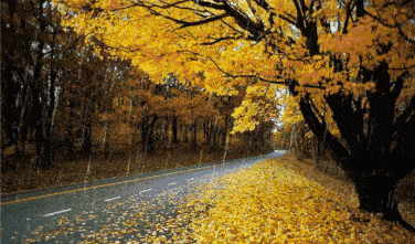 b64c7e9bc86044597db259ebb4fa562a_f1863f7499b8458681dd7c5044a26aaa.gif