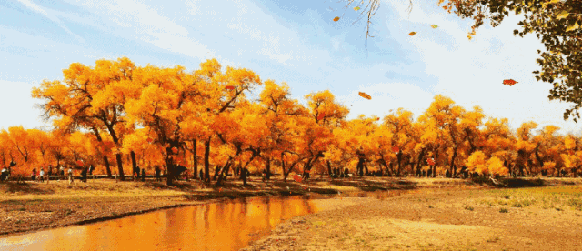 cf20ac7081f637280fd234310aa89d76_109af52f8b524f5b9a668d3b60689ab6.gif