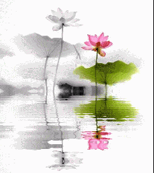 4d1af9533434ebdb351a7de98ecd2860_9938ebdee59646939d35b5709537d428.png