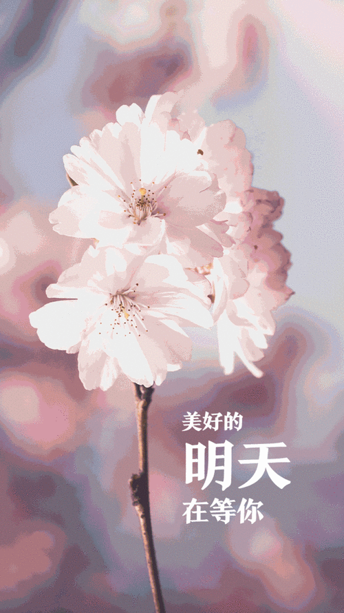 7056da7b4c157aaac82c2c09a62a315a_u=3217106230,3495668048&fm=253&app=138&size=w931&n=0&f=GIF&fmt=auto&maxorilen2heic=2000000.gif