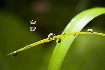 246d6008fa521ad38460b952f8fa9784_6bc556bdb1194790b09c010a94060ac3.jpeg