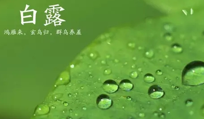 《白露》的作者约你无恨是【大众原创诗词曲网刊】签约作家