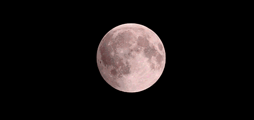 b9b2ddb439ea89929d0a3523adc01749_322623280bf34a55aea6c0255a569e7e.gif