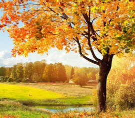 0cdfe3c0f9add3c3869efe67f6e239a4_t01ed80d46912c74369_size=921x808.png