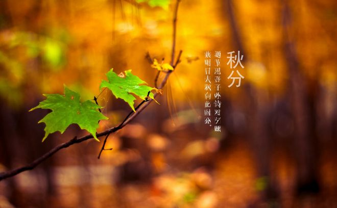 16a67ade5a092588ac24f89a0f3fb8e5__url=http%3A%2F%2Fdingyue.ws.126.net%2F2023%2F0923%2F23601089j00s1f7lp00rqd200u000ijg00it00bm.jpg&thumbnail=660x2147483647&quality=80&type=jpg.jpg