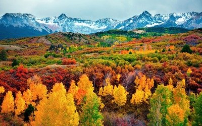 1b468533535a28dcd4377bfe998670d9_t0143c23d6c947eae17.jpg