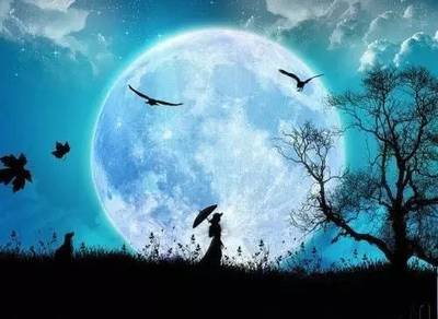《秋夜的思量​》作者：​延青【大众原创诗词曲网刊】签约作家