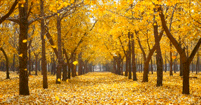 66d8c2229ce6a321570fdf7769591138_a7b6a4146f8d423faa0d018149315544.gif