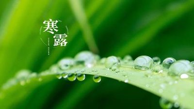 《寒露》作者：蒋海荣​【大众原创诗词曲网刊】签约作家