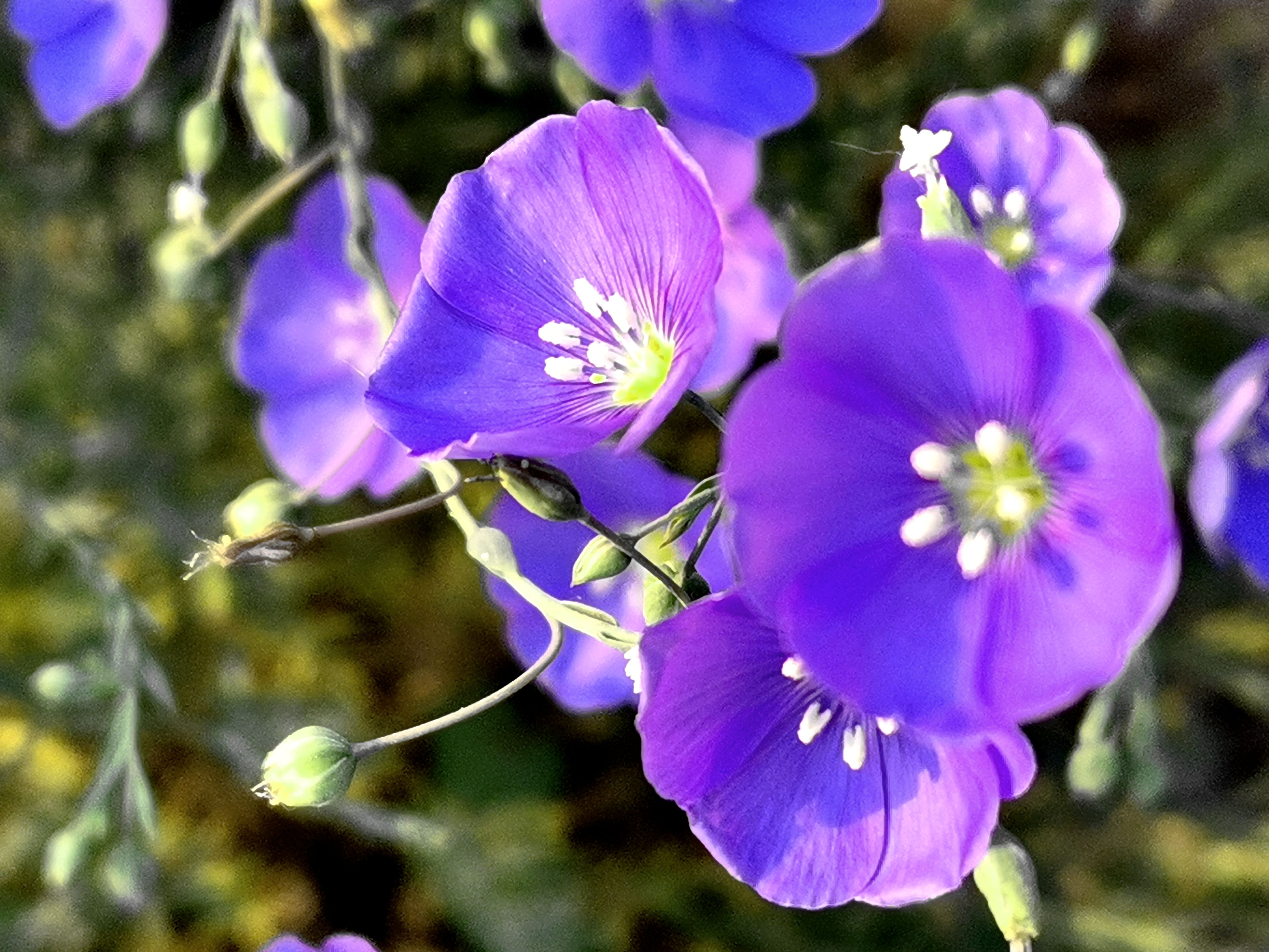 a25e26c07c131773308adf780ab93df1_32fcd0e4612b607ab6d641ecacd8a060.jpg