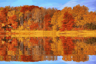 43bf7bb45383614a870fd41368baa43c_0.gif