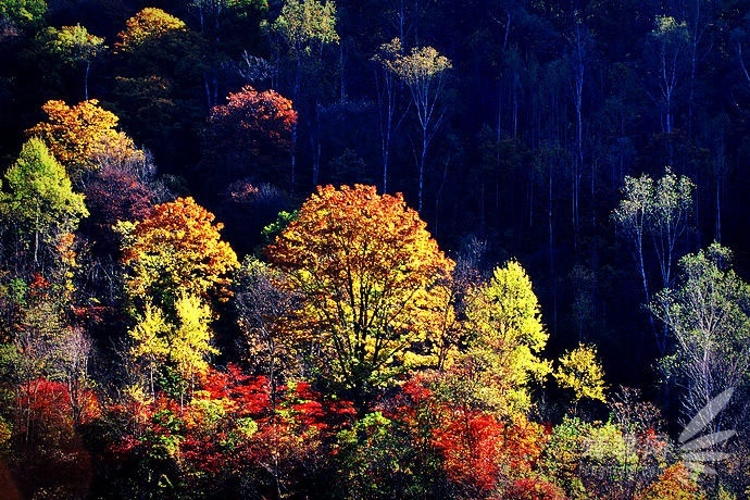 632db62be04380c63d20b0d05a1ef755_ceiV0ZW5AGcG6.jpg