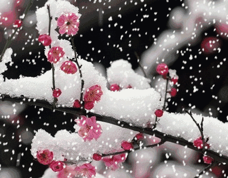 7fee139a1adf253cdedfb2cac5c86bf2_04f3ba06e5634c1a93679b83606d7208.gif