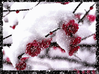 《爱的雪花》作者： ​尘悟【大众原创诗词曲网刊】签约作家