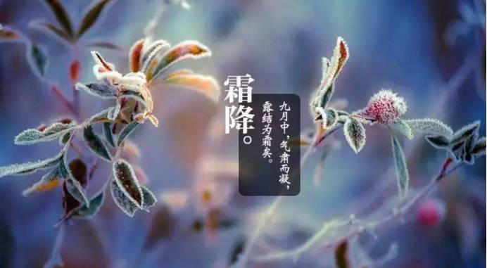 f39a71b00a46eee3acb52e5ef0b37b8b_70d72fbcc6614dd6bd16c29761c3d8d7.jpeg