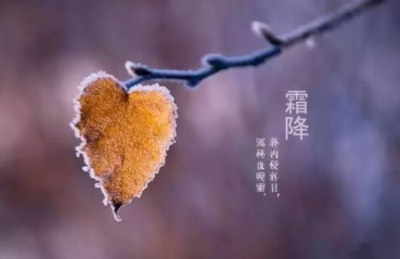 《霜降》作者：平安【大众原创诗词曲网刊】签约作家
