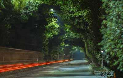 79bb643089a3d6dcb42f9300e410d269_t01d0fe3c3b0628fe93.jpg