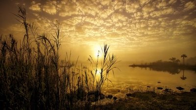 6ac7763c6c575b18c712f412fba799a3_t01265875f1ab275318.jpg