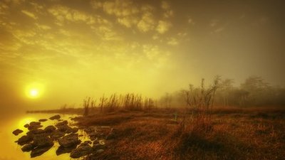 2f38ece454ce8ffd81286870b85234c1_t01f019dff07edd48fd.jpg