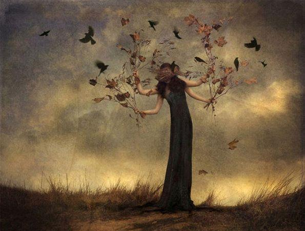 1699599683105318.png image.png