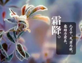 《霜降》作者：爱玲【大众原创诗词曲网刊】签约作家
