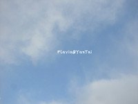 《来我的天空》作者：沈静【大众原创诗词曲网刊】签约作家