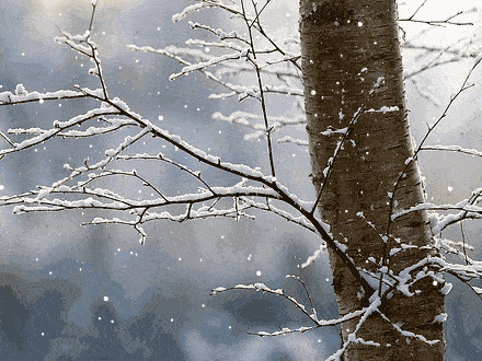 1d6e86c9ab906ec8d23fa1d9352696f6_1ec73c02dcda44a2846eb3cdc0f396ba.gif