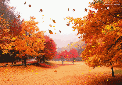 25ba17ffcd62180053beca248cd6c0c1_576e2513c57540ea890c464317d704f9.gif