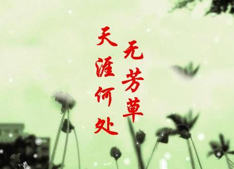 21fc9a5de8274c854aaa0cd7ba884452_229cf014774141b18ce27d26e69f1673.jpeg