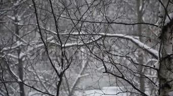f564ce992c5d933add20639361906d21_341x190a0a0.jpg