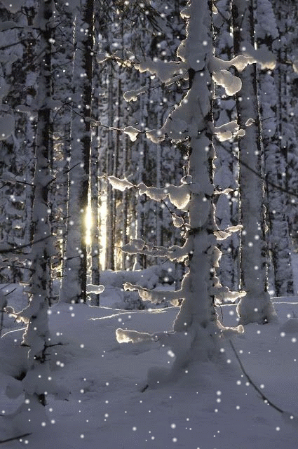 b3957a338be78f520056b4b307219034_26bf91f4650e4205a06461f38873b0e5.gif