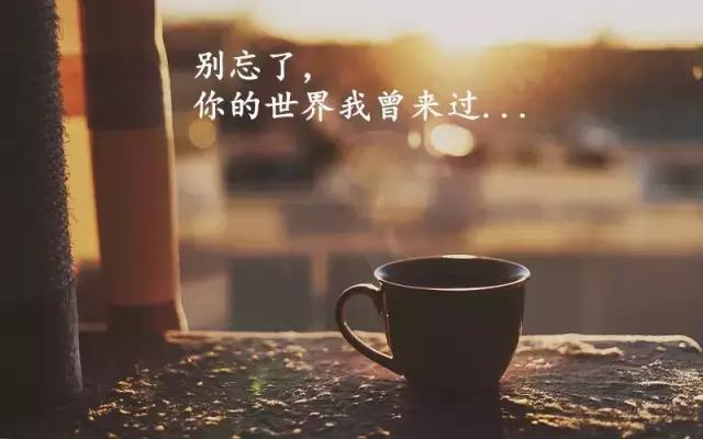 cf8cb0f8589db56847ff62e5e70bd216_6865-hawmaua7551177.jpg