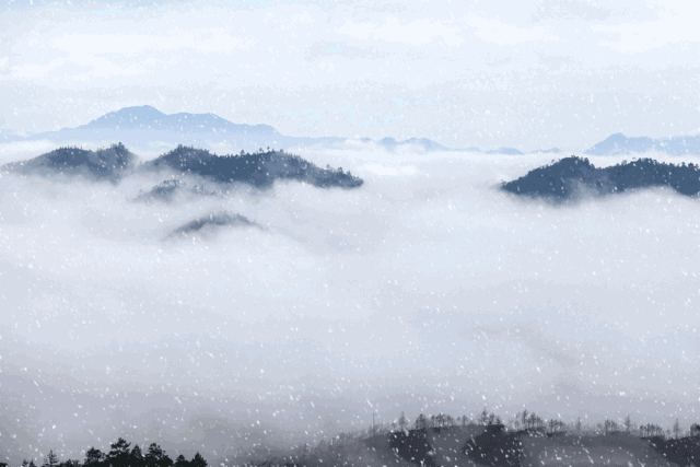 99b5b87e95b2a54ad5b455e5002ae616_fd21-fyqzcxi2642328.gif