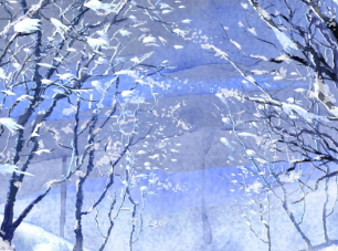 《雪》作者：平安【大众原创诗词曲网刊】签约作家