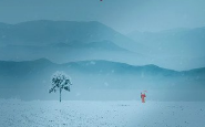 《无题》作者：樊志刚【大众原创诗词曲网刊】签约作家